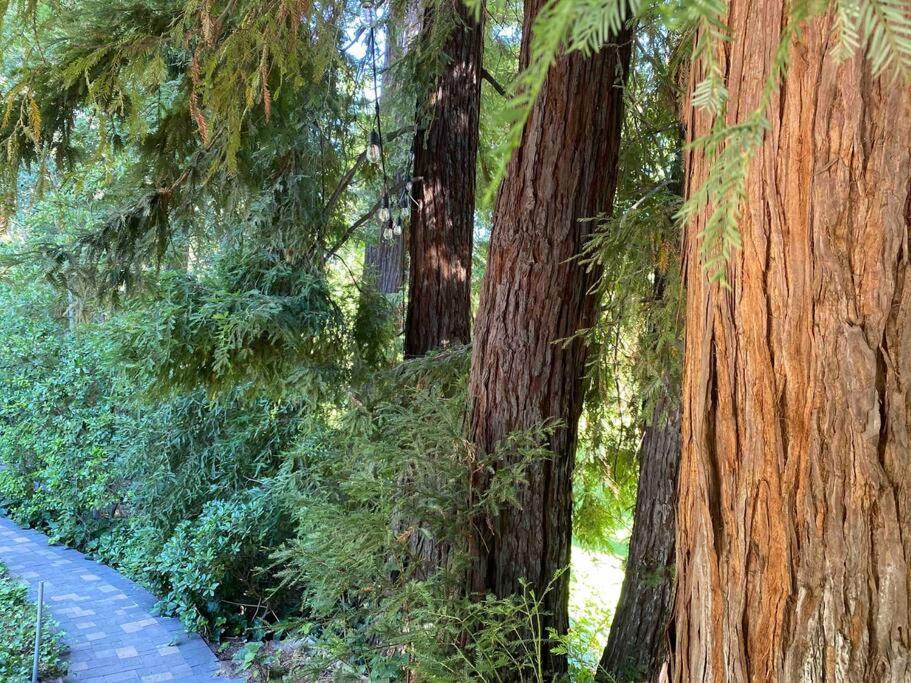 Redwood Garden Holiday home *