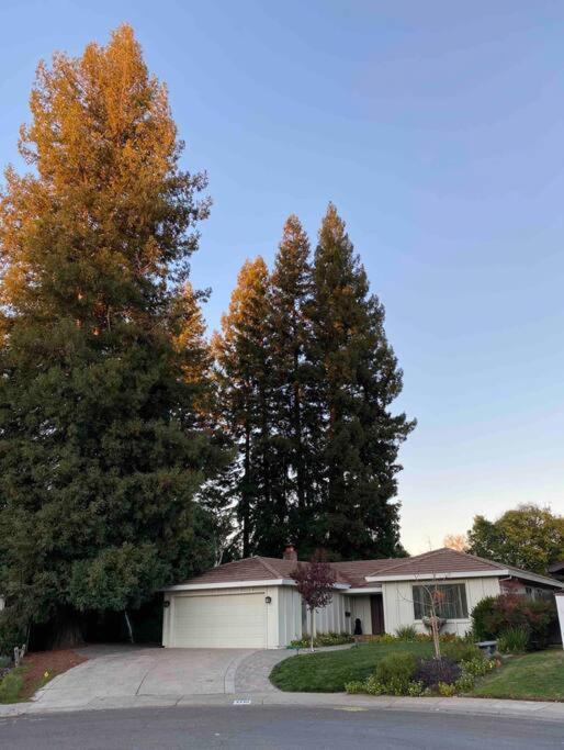 Holiday home Redwood Garden *