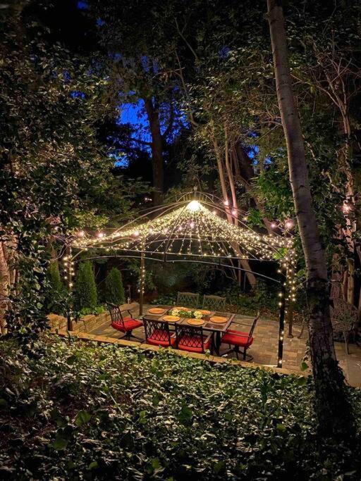 Redwood Garden *